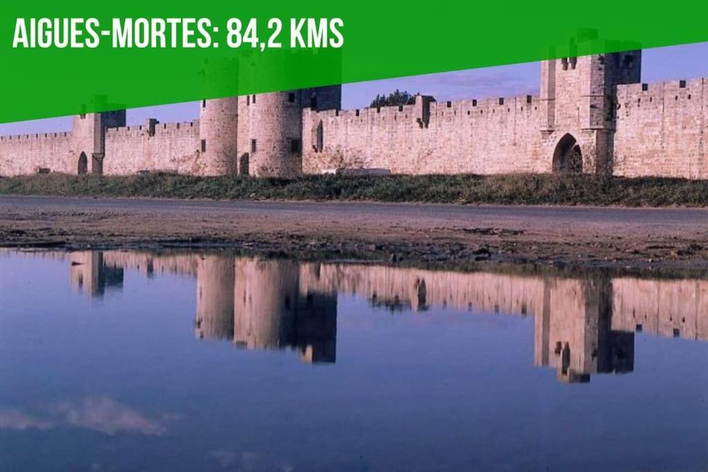 La Cachette De L'Horloge - Ac Clim - Wifi - 100M Palais Des Papes Apartment Avignon Ngoại thất bức ảnh