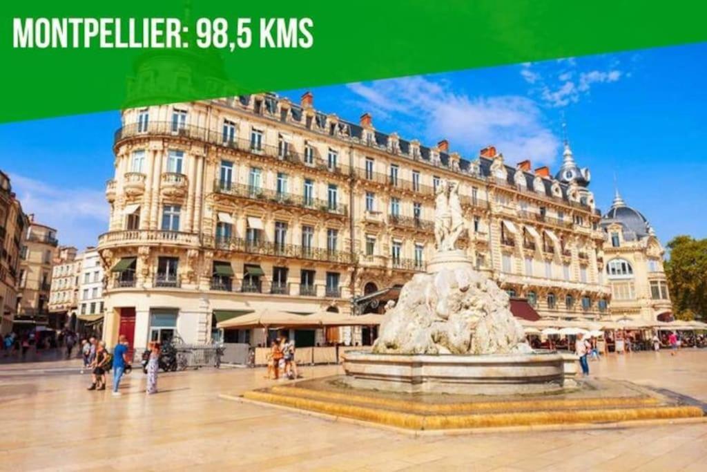 La Cachette De L'Horloge - Ac Clim - Wifi - 100M Palais Des Papes Apartment Avignon Ngoại thất bức ảnh